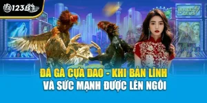 Đá Gà Cựa Dao - Khi Bản Lĩnh Và Sức Mạnh Được Lên Ngôi