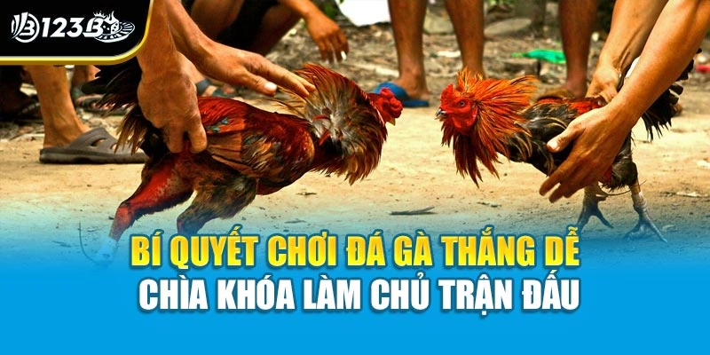 Bí Quyết Chơi Đá Gà Thắng Dễ - Chìa Khóa Làm Chủ Trận Đấu 1 Bí Quyết Chơi Đá Gà Thắng Dễ - Chìa Khóa Làm Chủ Trận Đấu