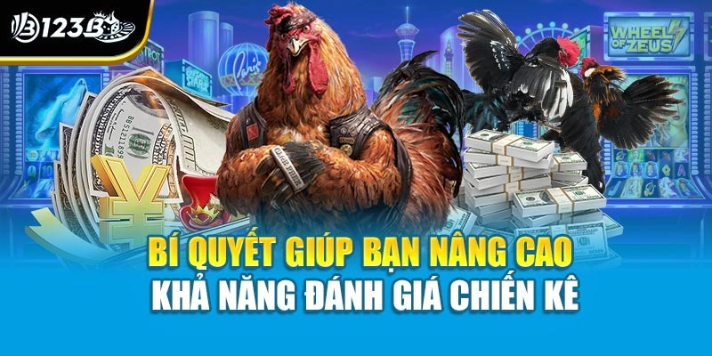 Đá Gà C1 - Đấu Trường Đỉnh Cao Của Những Chiến Kê Bất Bại 4 Bí quyết giúp bạn nâng cao khả năng đánh giá chiến kê
