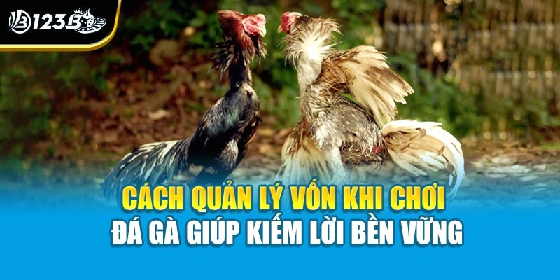 Cách Quản Lý Vốn Khi Chơi Đá Gà Giúp Bạn Làm Chủ Hành Động 2 Cách quản lý vốn khi chơi đá gà giúp kiếm lời bền vững
