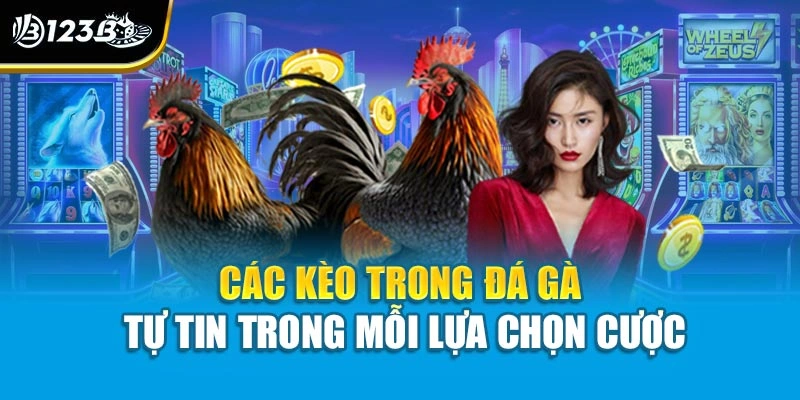 Các Kèo Trong Đá Gà - Tự Tin Trong Mỗi Lựa Chọn Cược