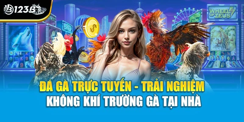 Đá Gà Trực Tuyến - Trải Nghiệm Không Khí Trường Gà Tại Nhà