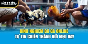 Kinh Nghiệm Đá Gà Online - Tự Tin Chiến Thắng Với Mẹo Hay