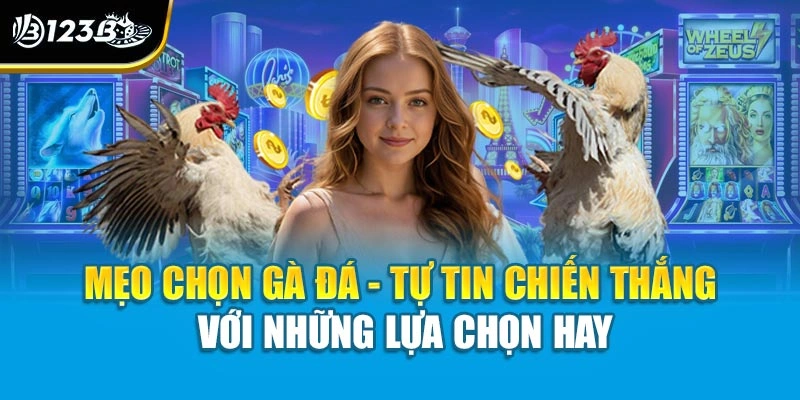 Mẹo Chọn Gà Đá - Tự Tin Chiến Thắng Với Những Lựa Chọn Hay 1 Mẹo Chọn Gà Đá - Tự Tin Chiến Thắng Với Những Lựa Chọn Hay