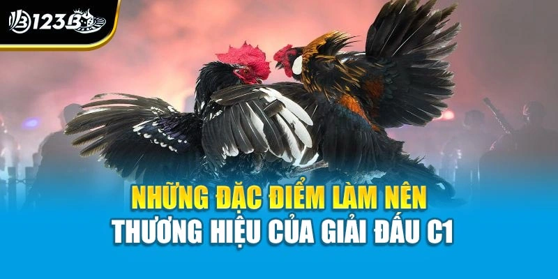 Đá Gà C1 - Đấu Trường Đỉnh Cao Của Những Chiến Kê Bất Bại 3 Những đặc điểm làm nên thương hiệu của giải đấu C1