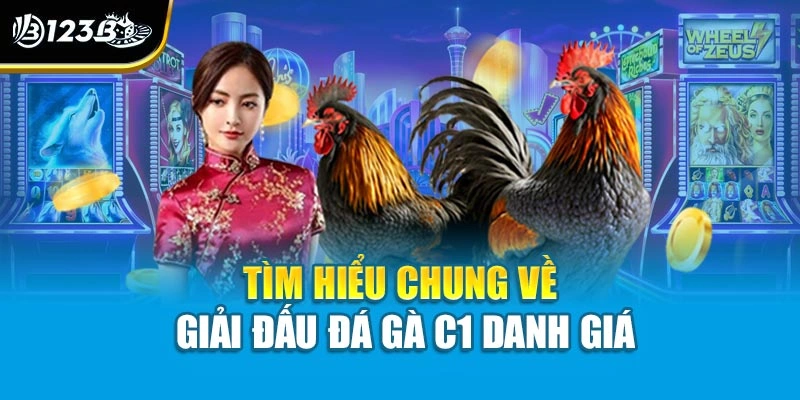 Đá Gà C1 - Đấu Trường Đỉnh Cao Của Những Chiến Kê Bất Bại 2 Tìm hiểu chung về giải đấu đá gà C1 danh giá