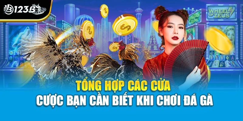 Tổng hợp các cửa cược bạn cần biết khi chơi đá gà