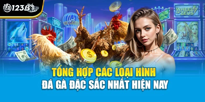 Tổng hợp các loại hình đá gà đặc sắc nhất hiện nay