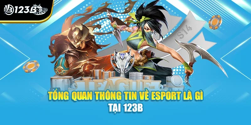 Esport Là Gì? Những Điều Thú Vị Về Game Ngay Tại 123B 2 Tổng quan thông tin về esport là gì tại 123B