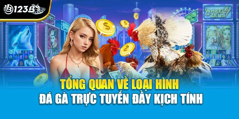 Tổng quan về loại hình đá gà trực tuyến đầy kịch tính