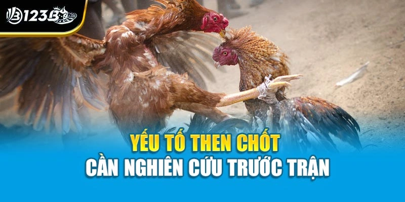 Bí Quyết Chơi Đá Gà Thắng Dễ - Chìa Khóa Làm Chủ Trận Đấu 3 Yếu tố then chốt cần nghiên cứu trước trận